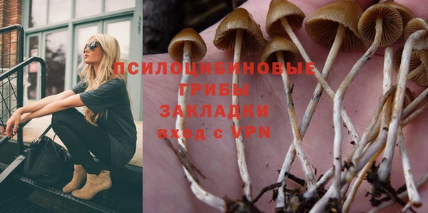 СК Володарск