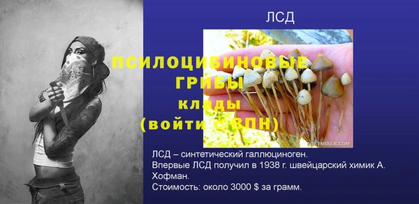 ECSTASY Волоколамск